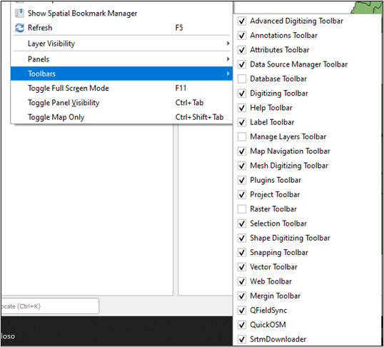 QGIS View Settings